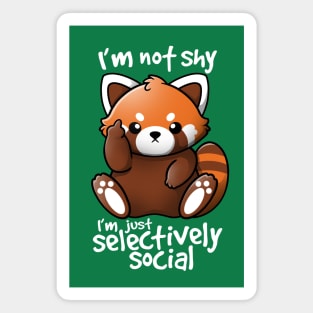 Shy red panda Magnet